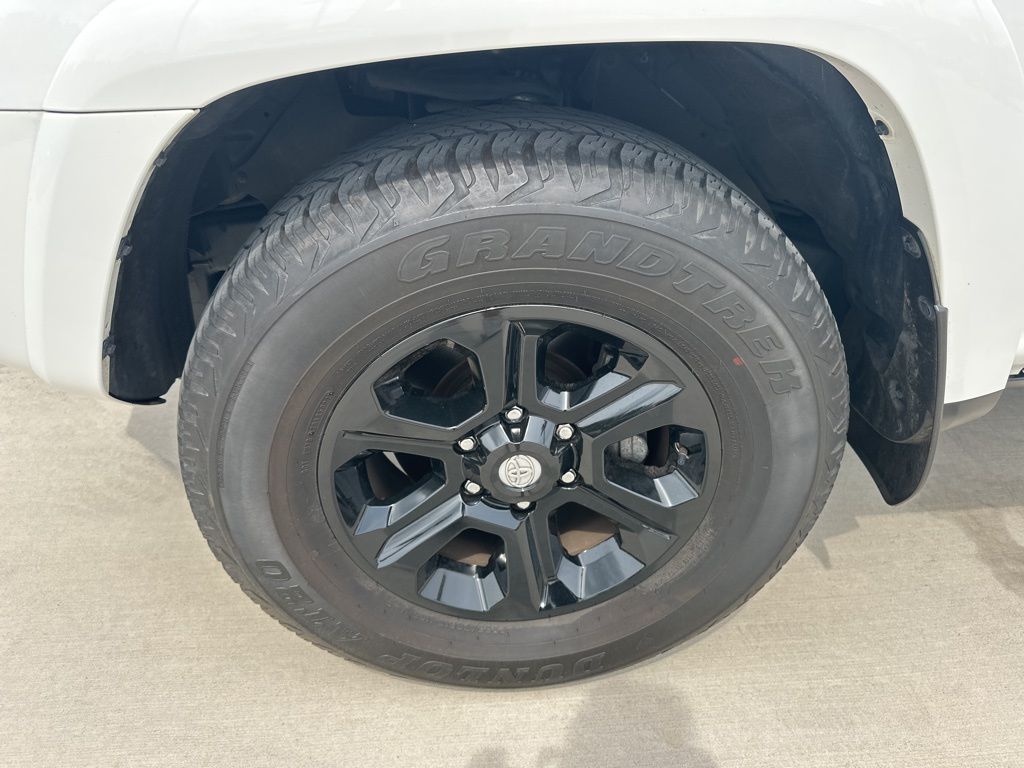 2023 Ice Cap Toyota 4Runner SR5 RWD SUV