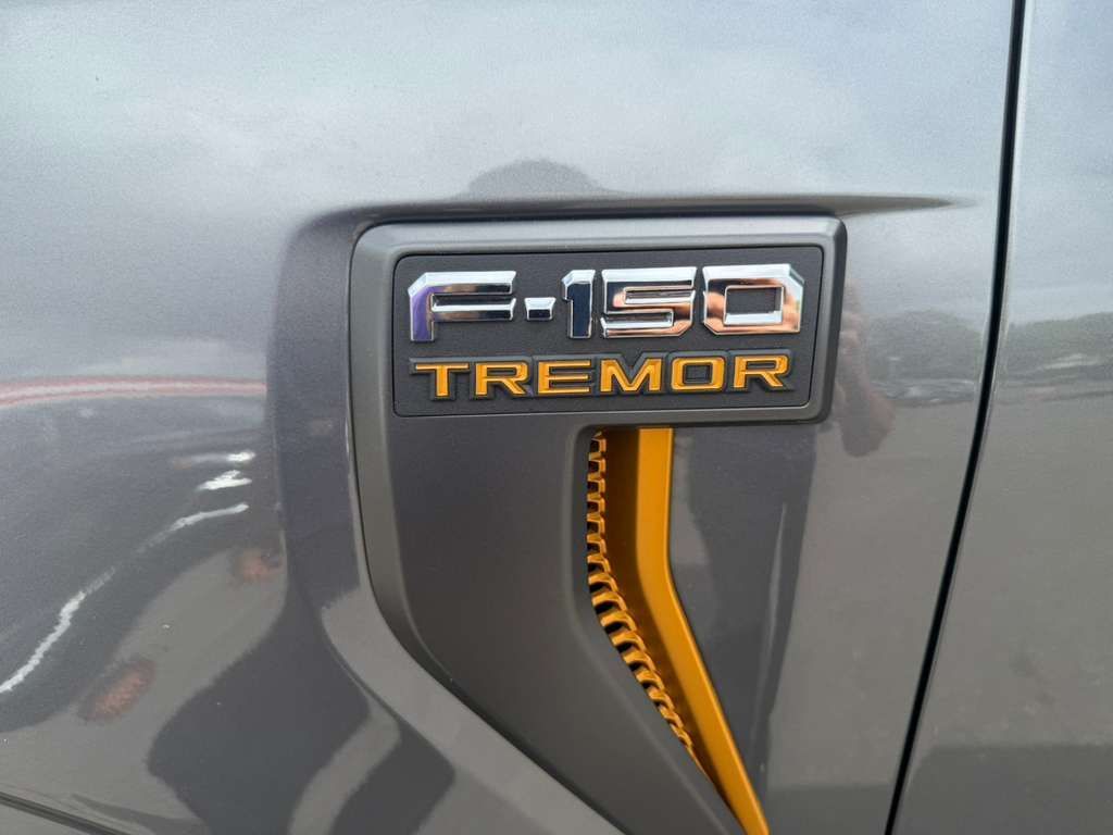 Used 2025 Ford F-150 Truck