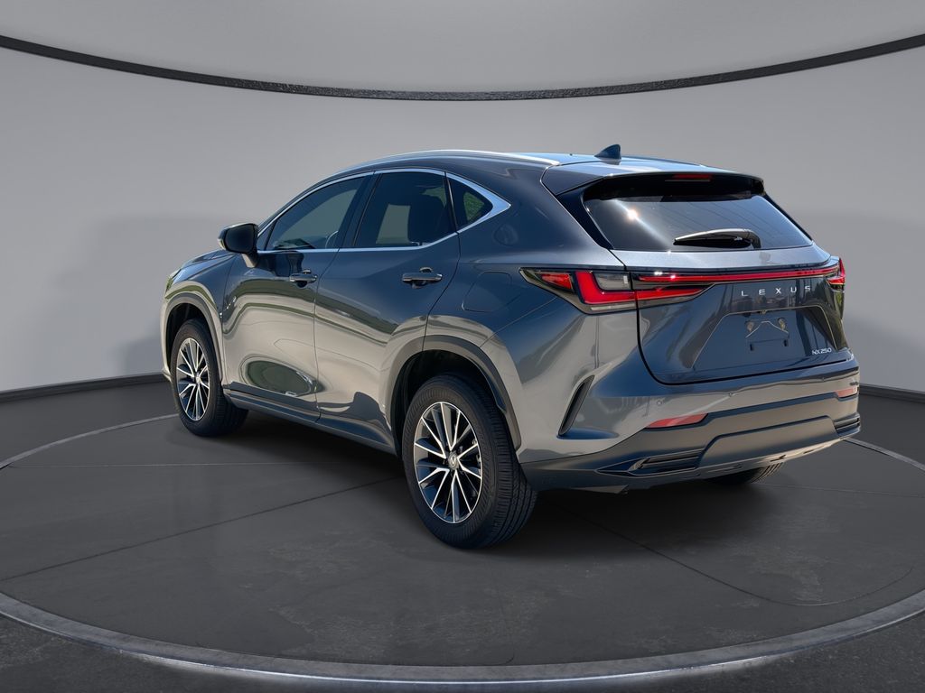 Thumbnail: 2025 Lexus NX - 10