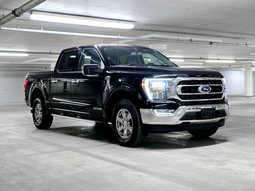 2023 Ford F-150 XLT 4