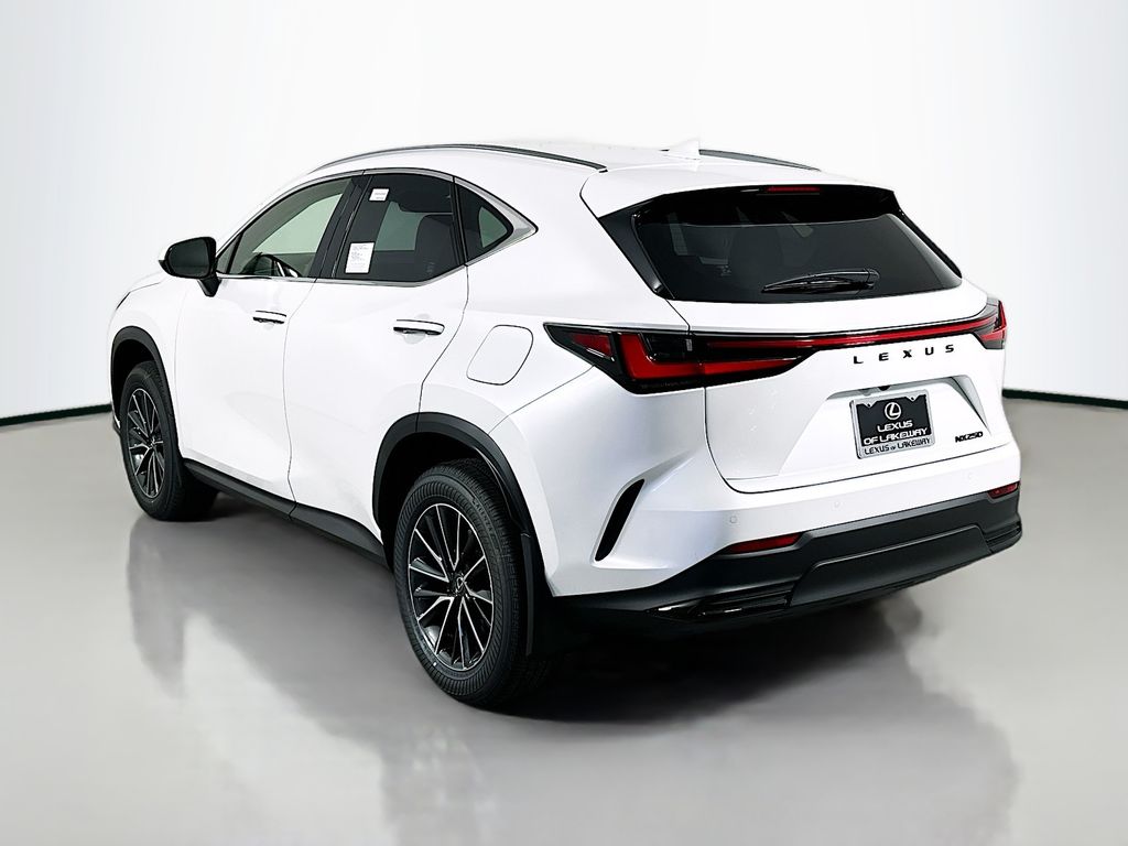 2025 Lexus NX 250 7