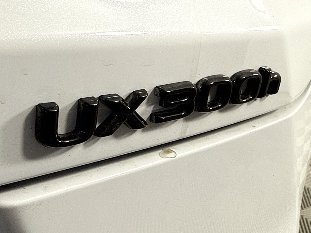 Thumbnail: 2025 Lexus UX - 22