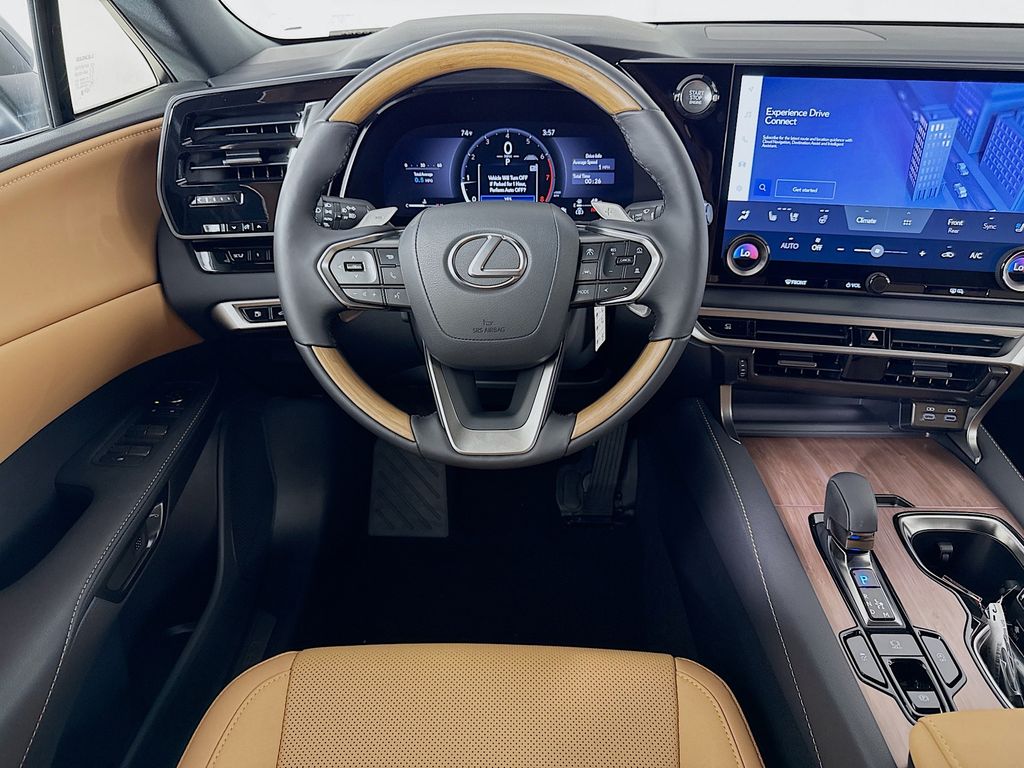 Thumbnail: 2025 Lexus RX - 19