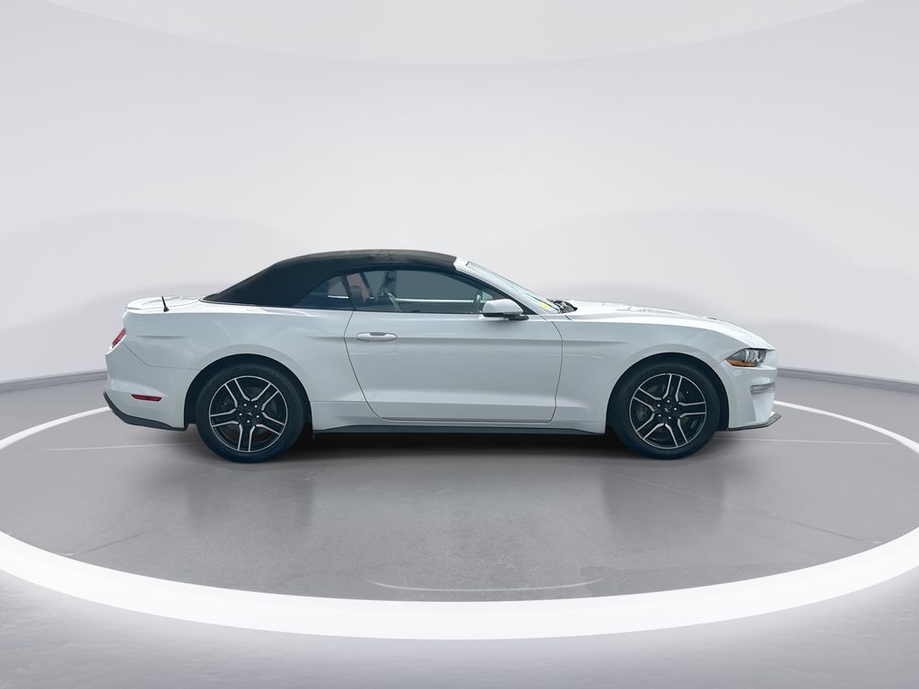 2019 Ford Mustang EcoBoost Premium - 8