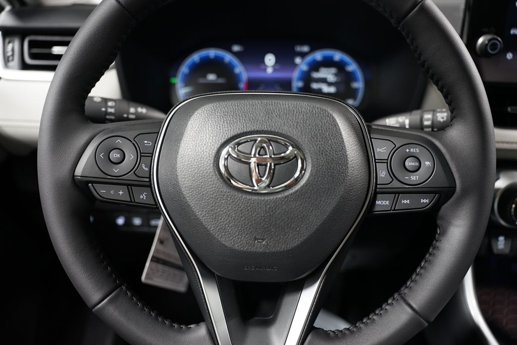 2025 Toyota RAV4 Limited 12