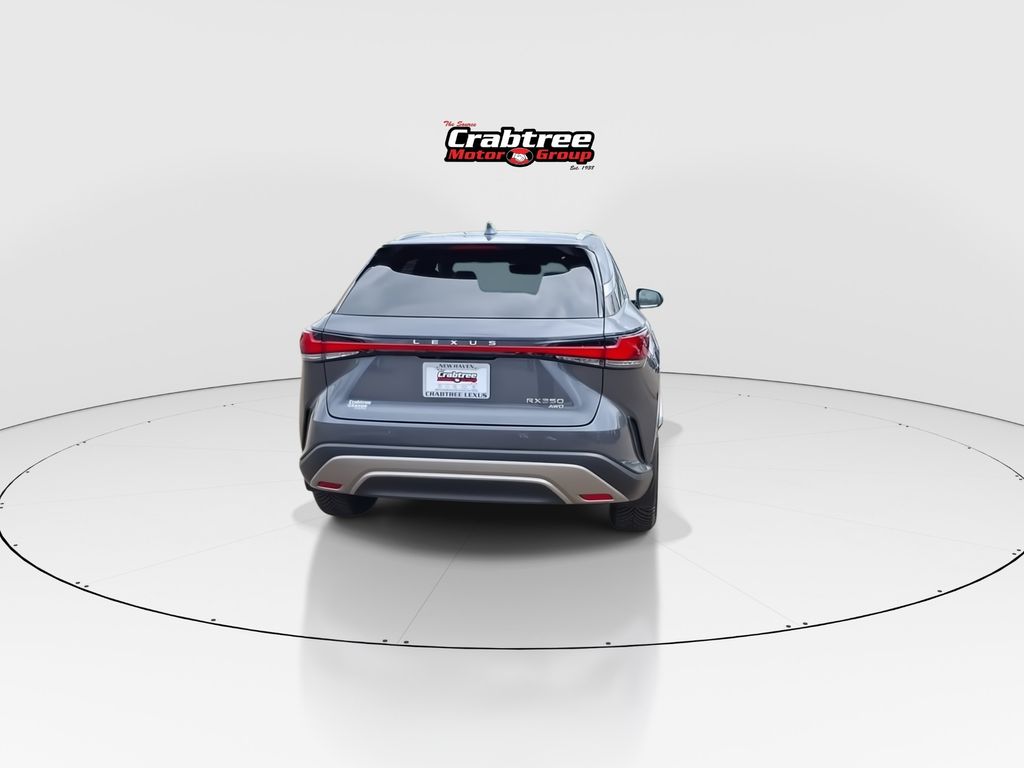 Used 2024 Lexus RX SUV