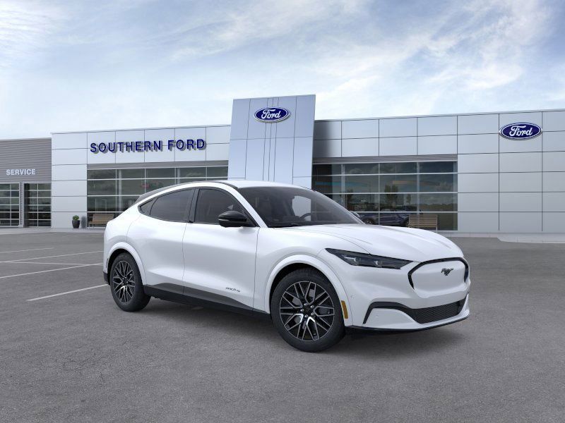 New 2025 White Ford Premium image 8