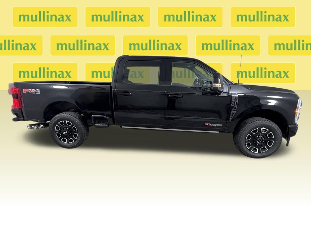 New 2026 Black Ford Platinum image 20