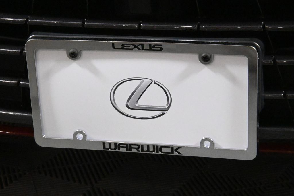 2019 Lexus NX Hybrid 300h 14