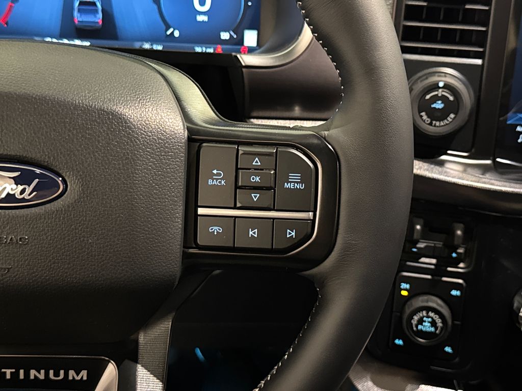 New 2026 White Ford Platinum image 41