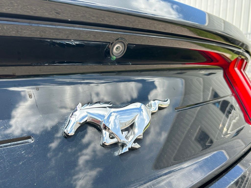 Used 2018 Shadow Black Ford EcoBoost image 40