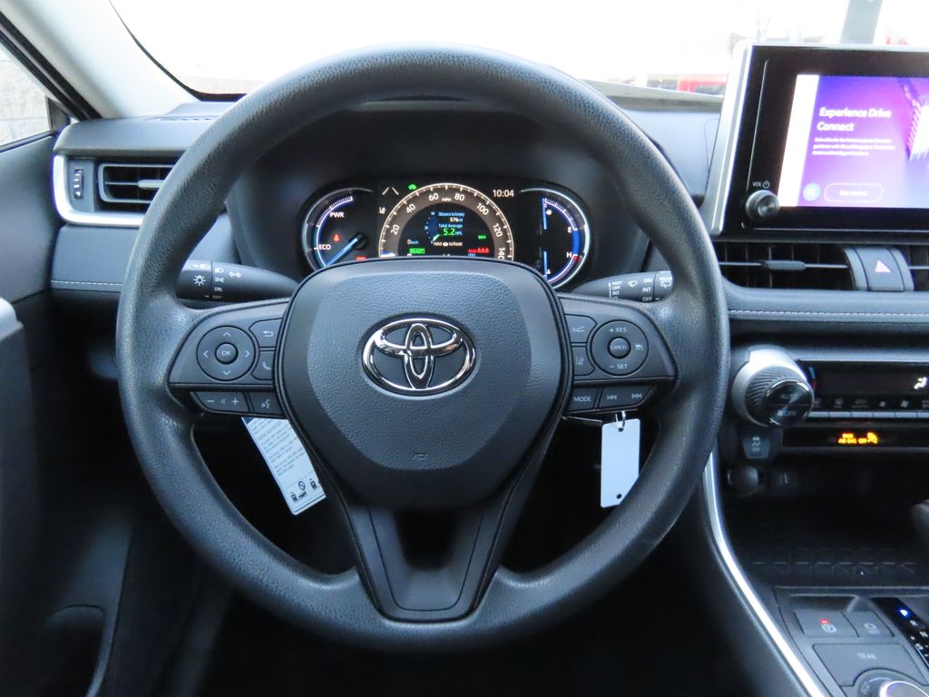 2025 Toyota RAV4 LE 10