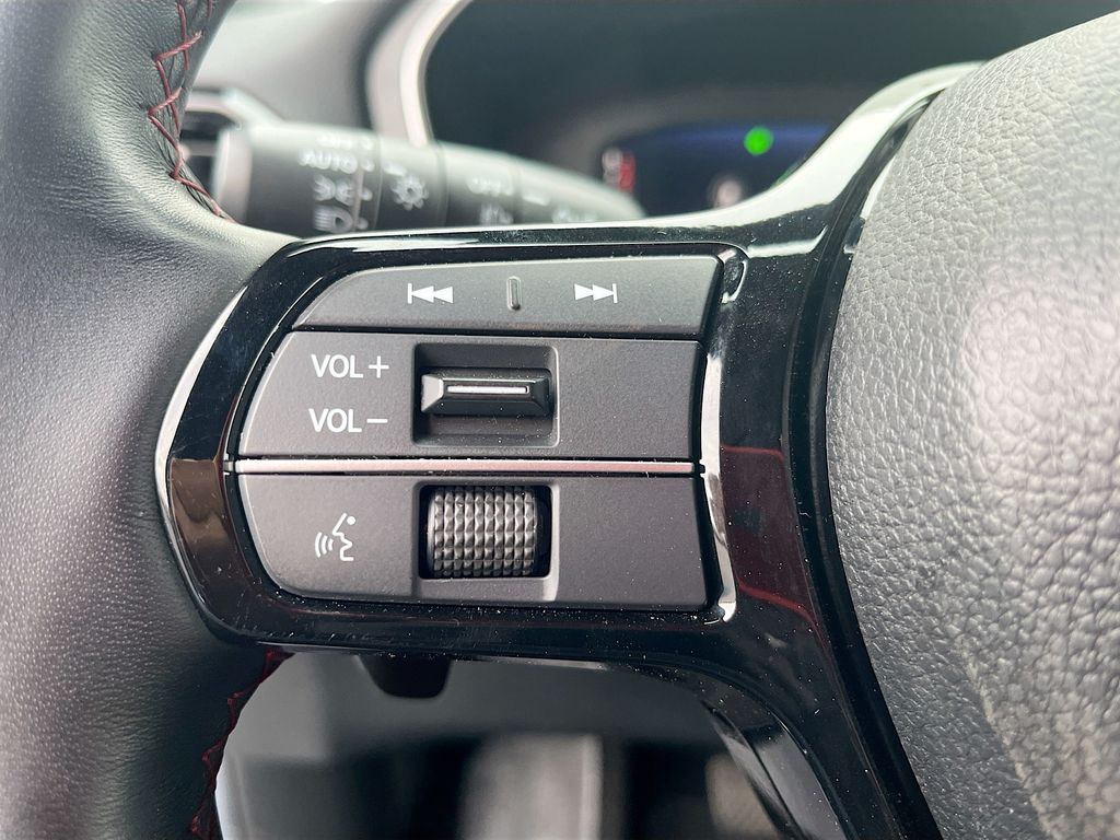 Used 2025 Gray Honda Black Edition image 10