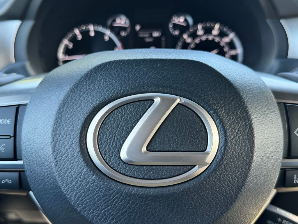 2023 Lexus GX 460 30