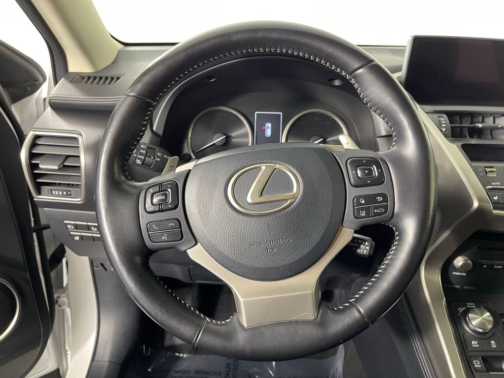 2019 Lexus NX Hybrid 300h 14