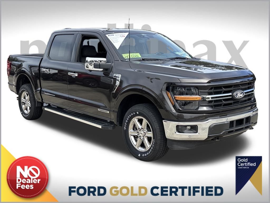 2024 Ford F-150 XLT's photo
