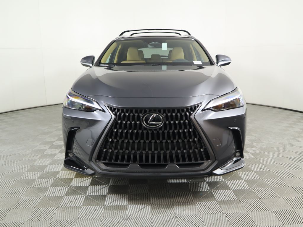 2025 Lexus NX 250 2