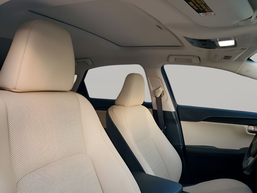 Used Car 2019 Lexus Nx  300 Base For Sale Under $30,000 In Austin, Texas