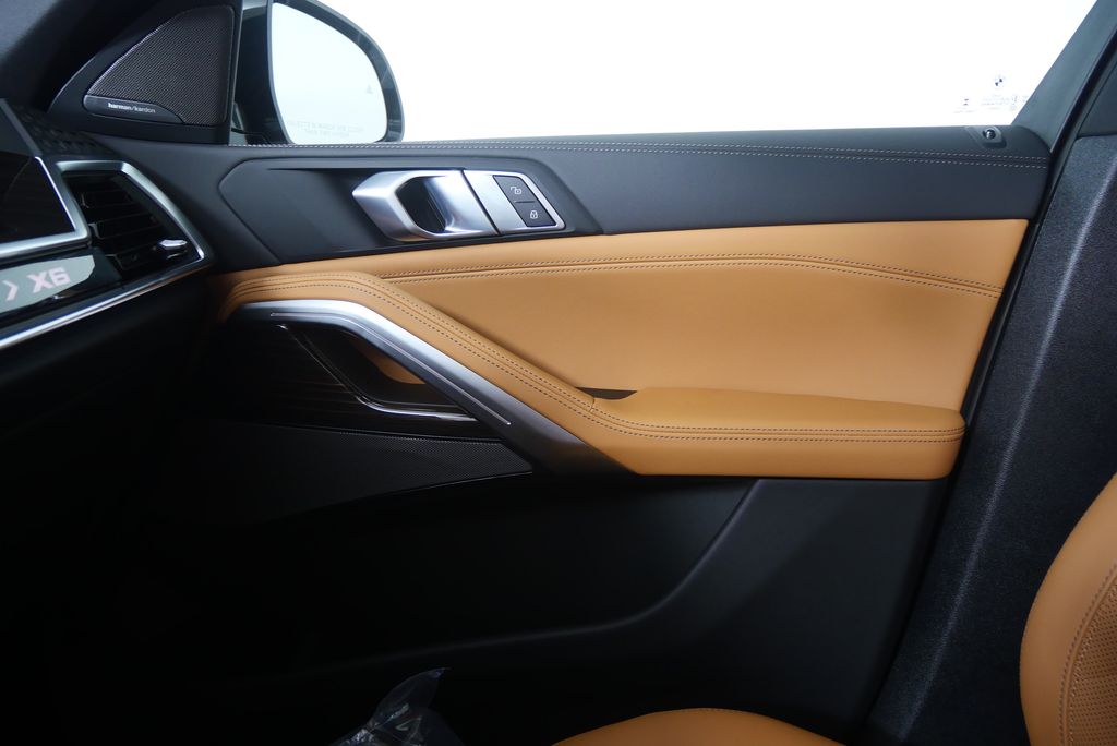 Thumbnail: 2026 BMW X6 - 24