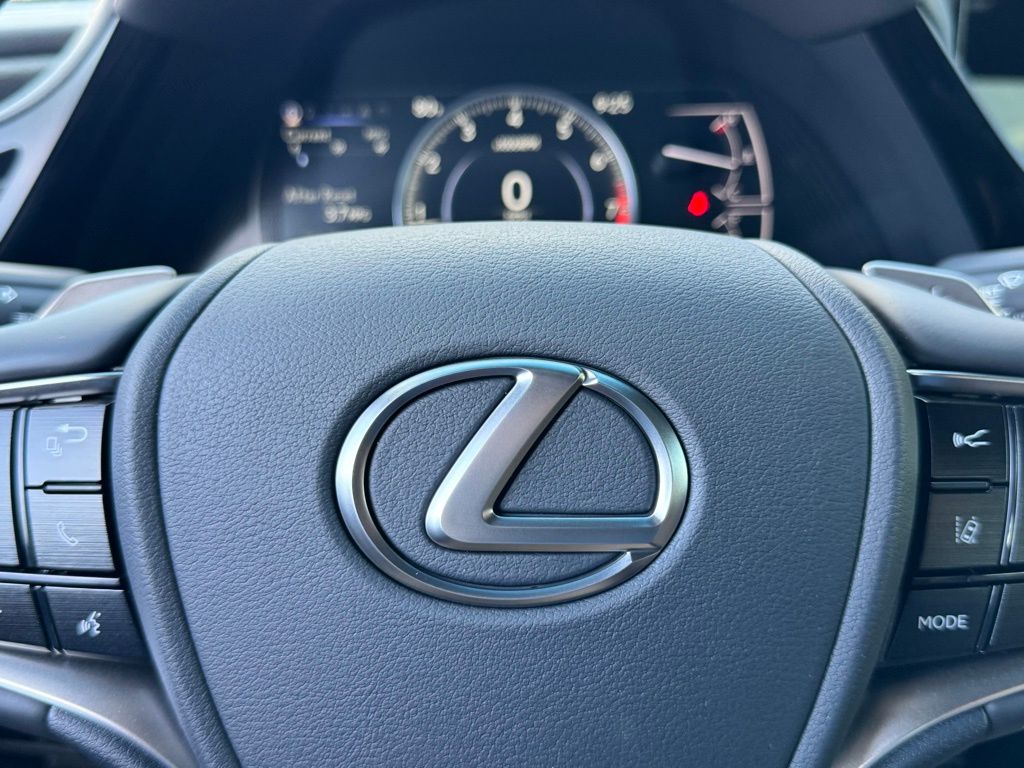 2025 Lexus ES 350 25