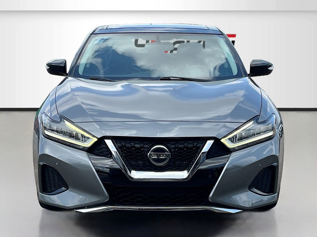 2019 Nissan Maxima 3.5 SL Gray at Central Houston Nissan