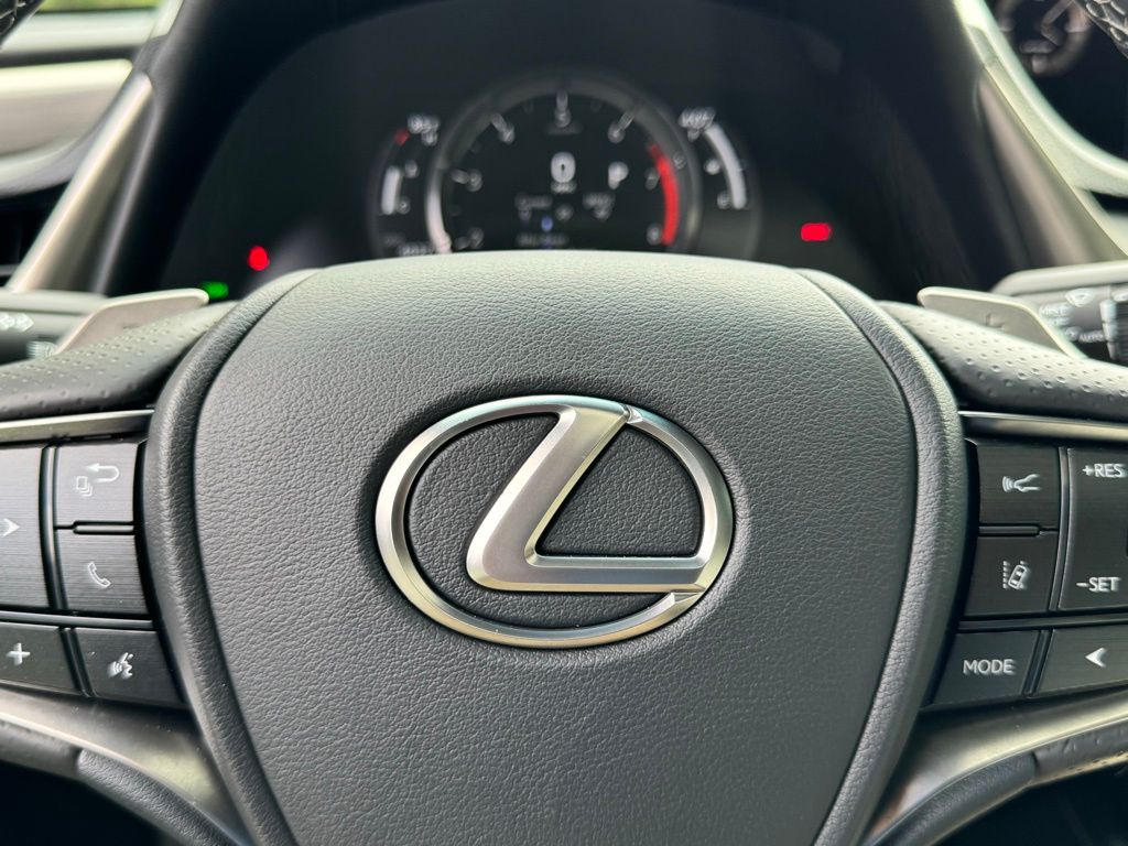 2021 Lexus ES 350 F Sport 29