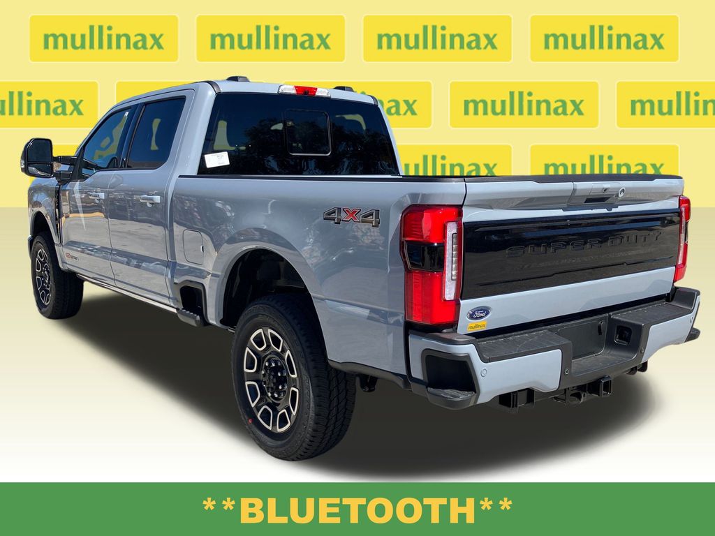 New 2026 Gray Ford Platinum image 11
