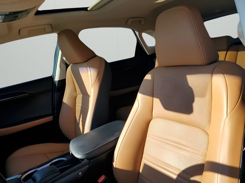 Used Car 2019 Lexus Nx  300 F Sport For Sale Under $30,000 In Austin, Texas