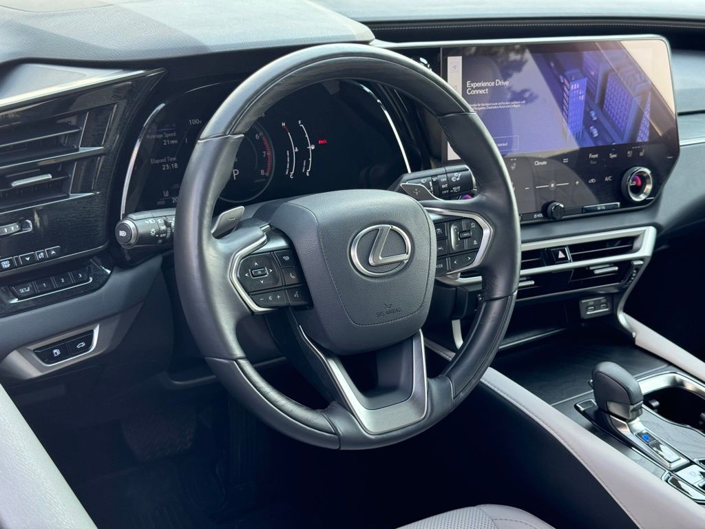 2023 Lexus RX 350 Premium 19