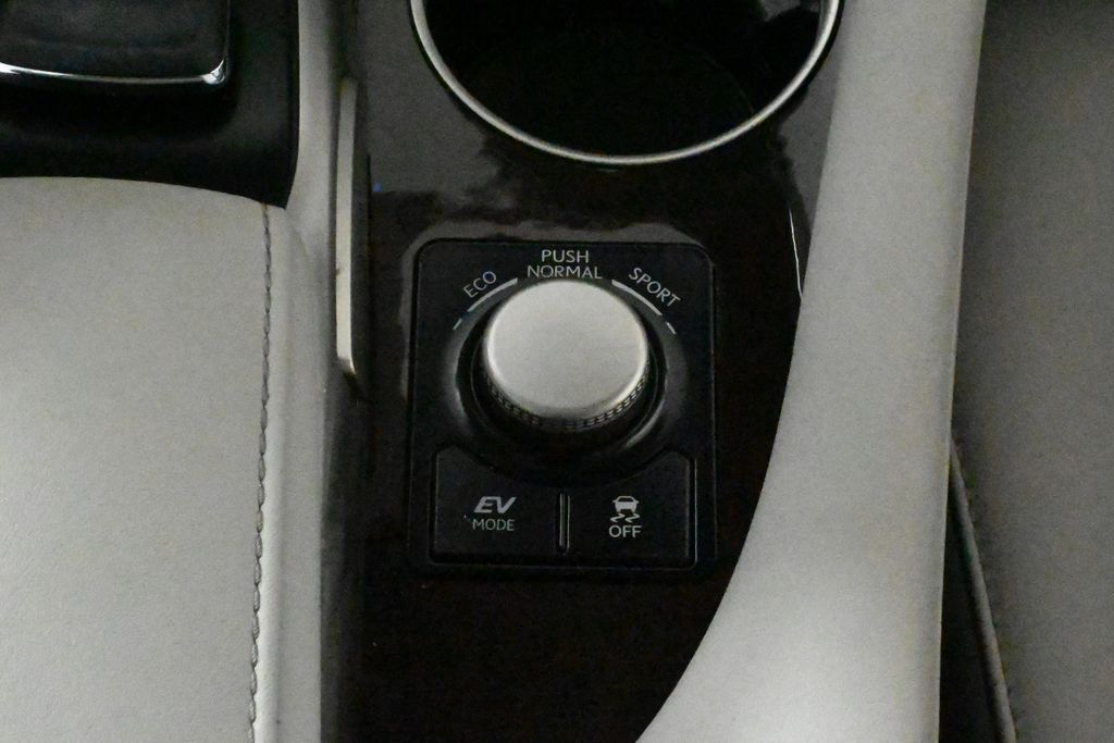 2019 Lexus RX Hybrid 450h 27