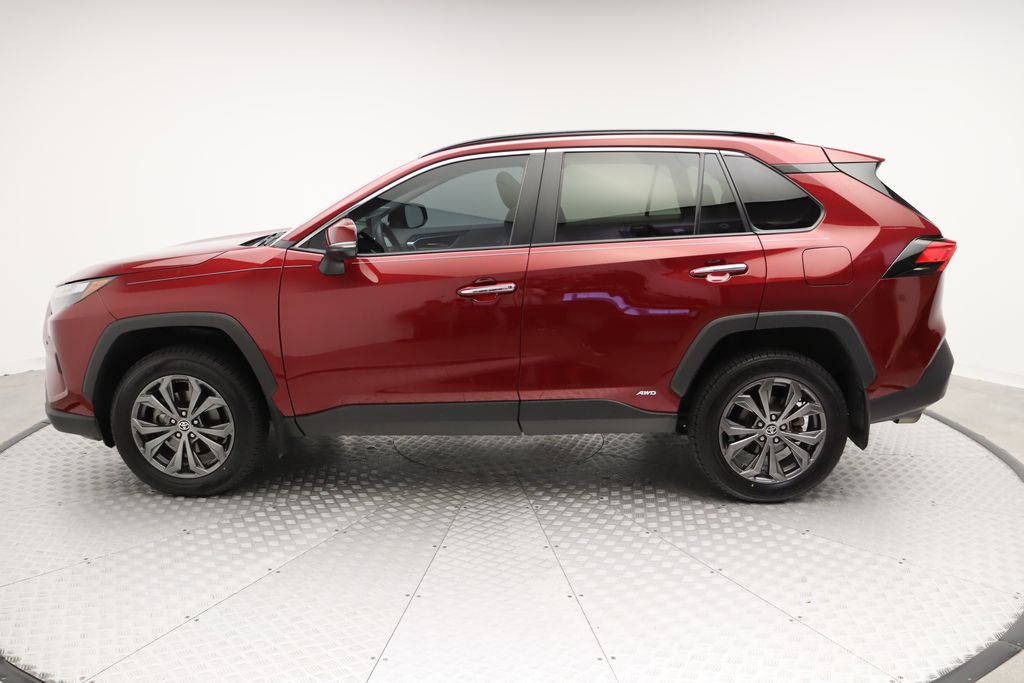 2024 Toyota RAV4 Limited 12
