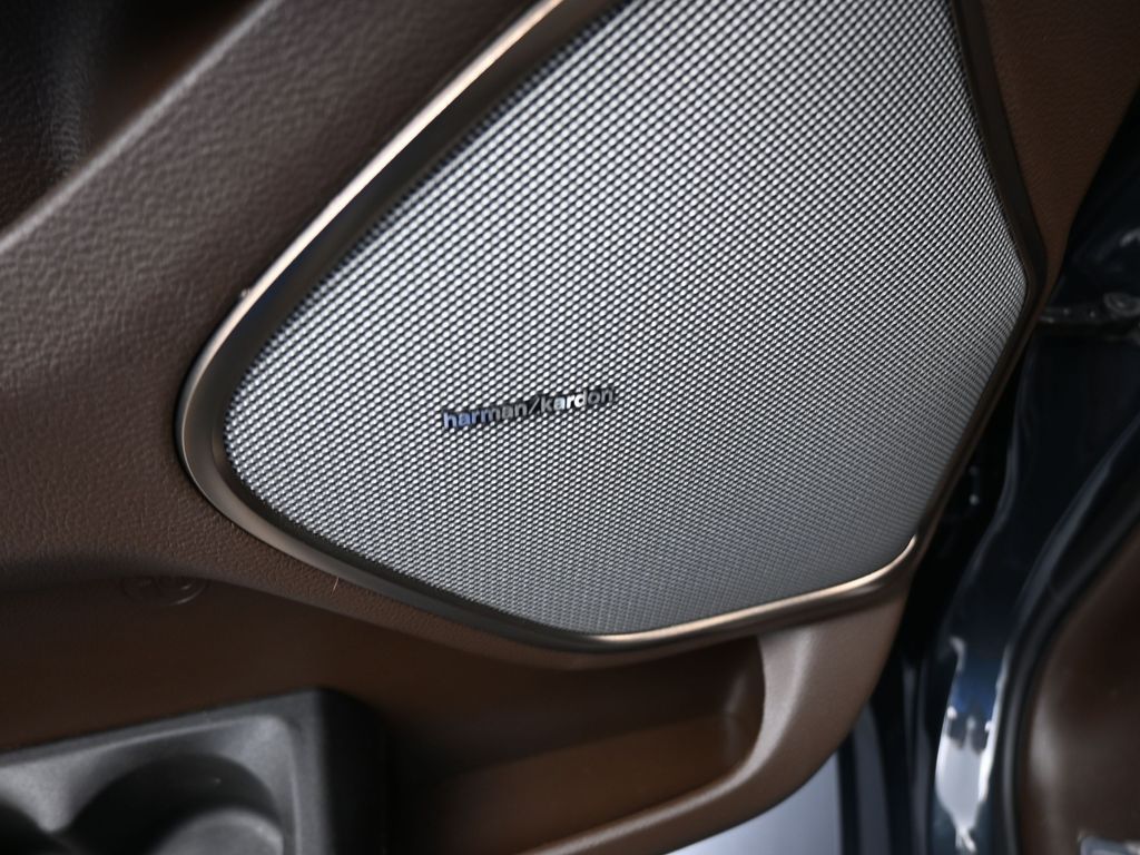 New 2026 Forged Blue Metallic Ram Limited image 15