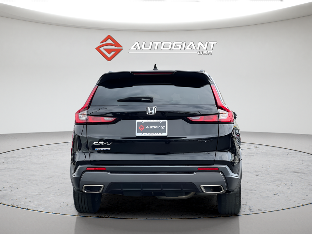 View vehicle photo 6