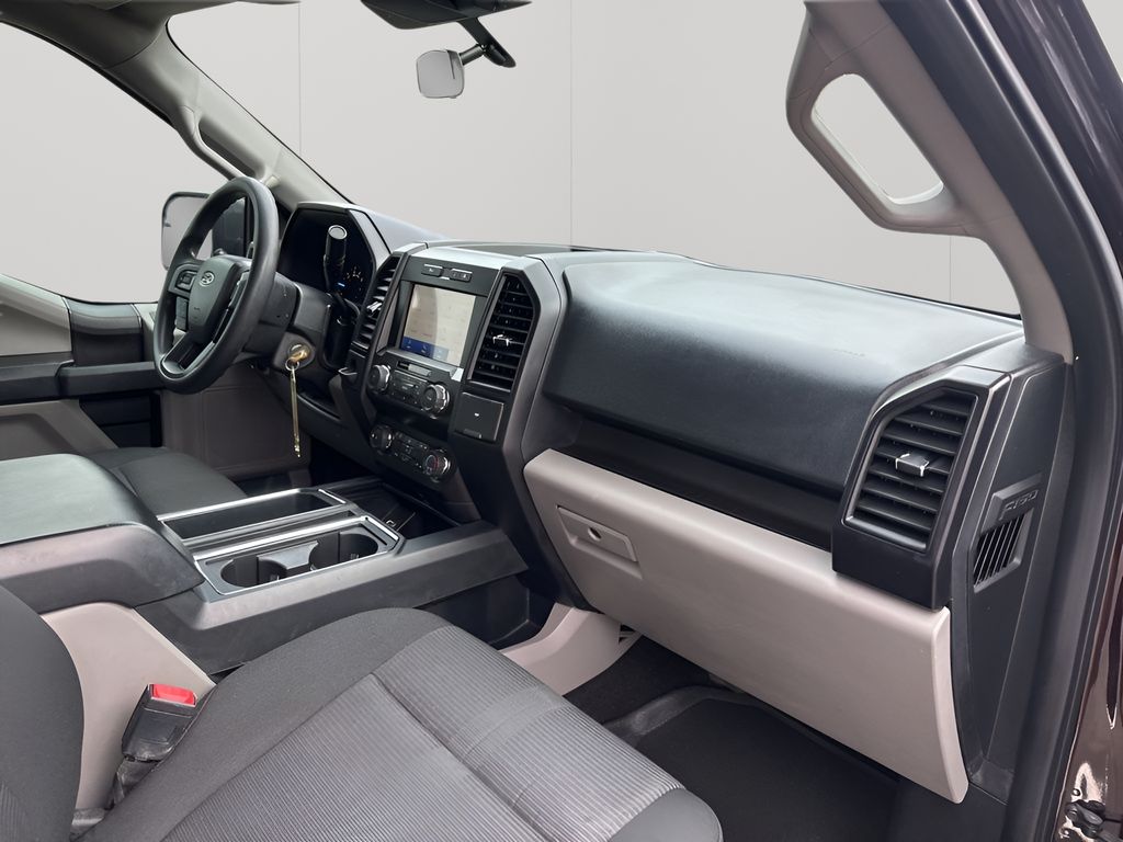 Used Car 2019 Ford F-150  Xl For Sale Under $30,000 In Austin, Texas