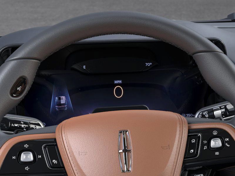 New 2026 Black Lincoln Black Label image 13