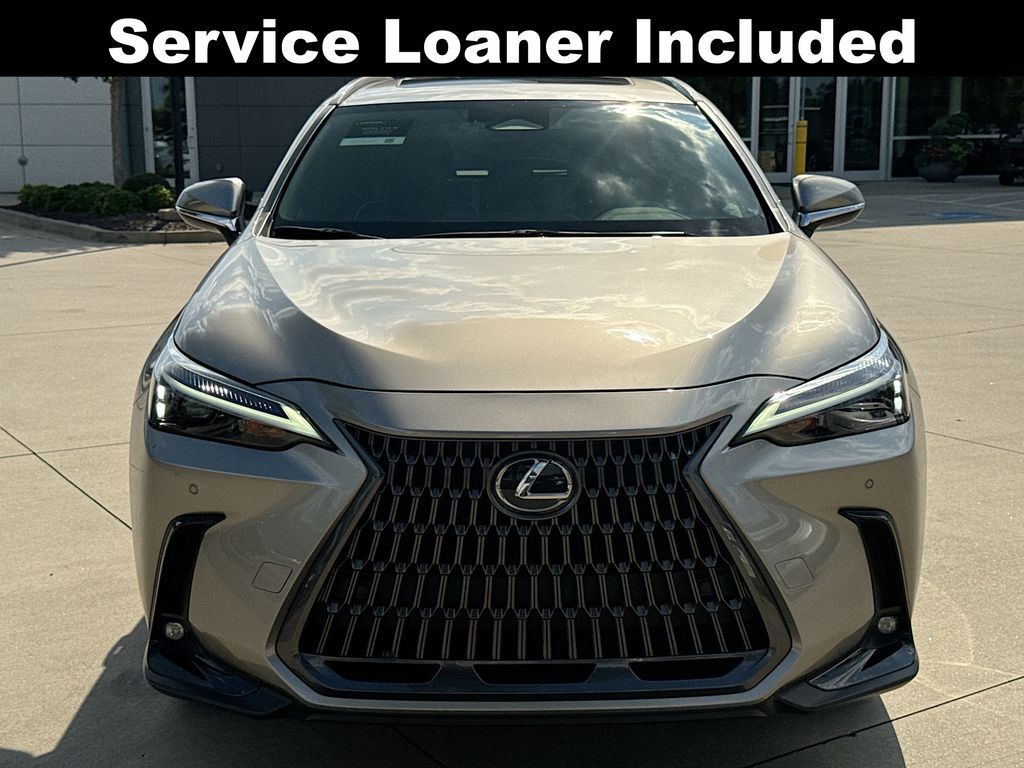 2024 Lexus NX 250 Premium photo 4