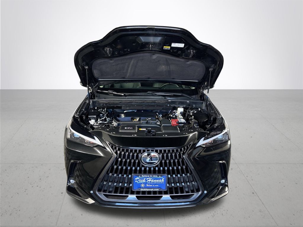 2023 Lexus NX 250 Base