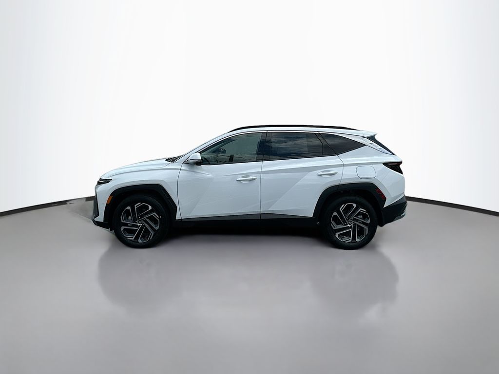 2025 Hyundai Tucson Limited 8