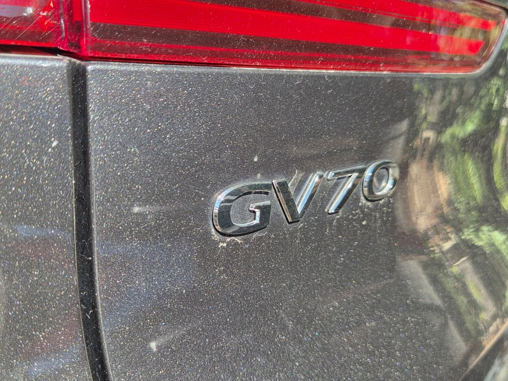 Used 2025 Gray Genesis Advanced image 5