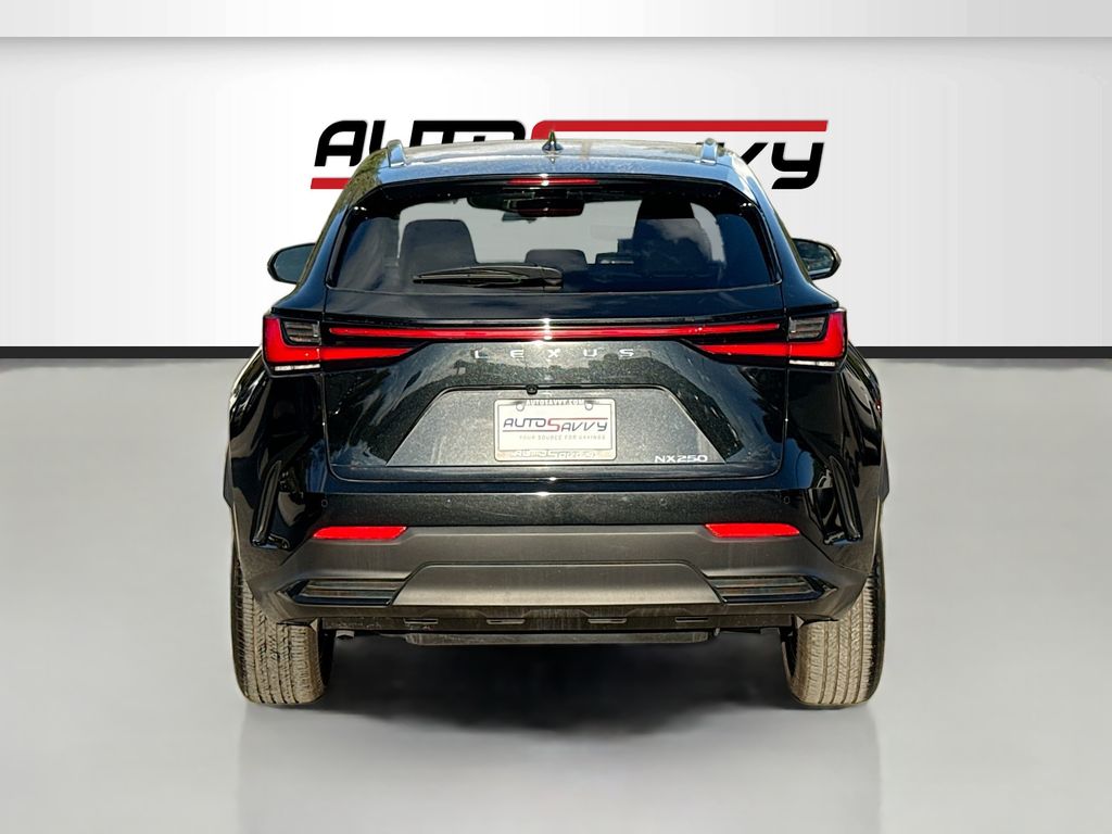2025 Lexus NX 250 Premium - 5