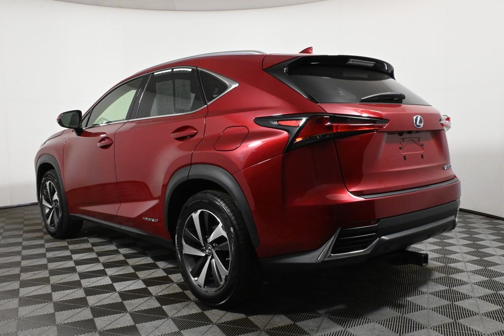 2019 Lexus NX Hybrid 300h 5