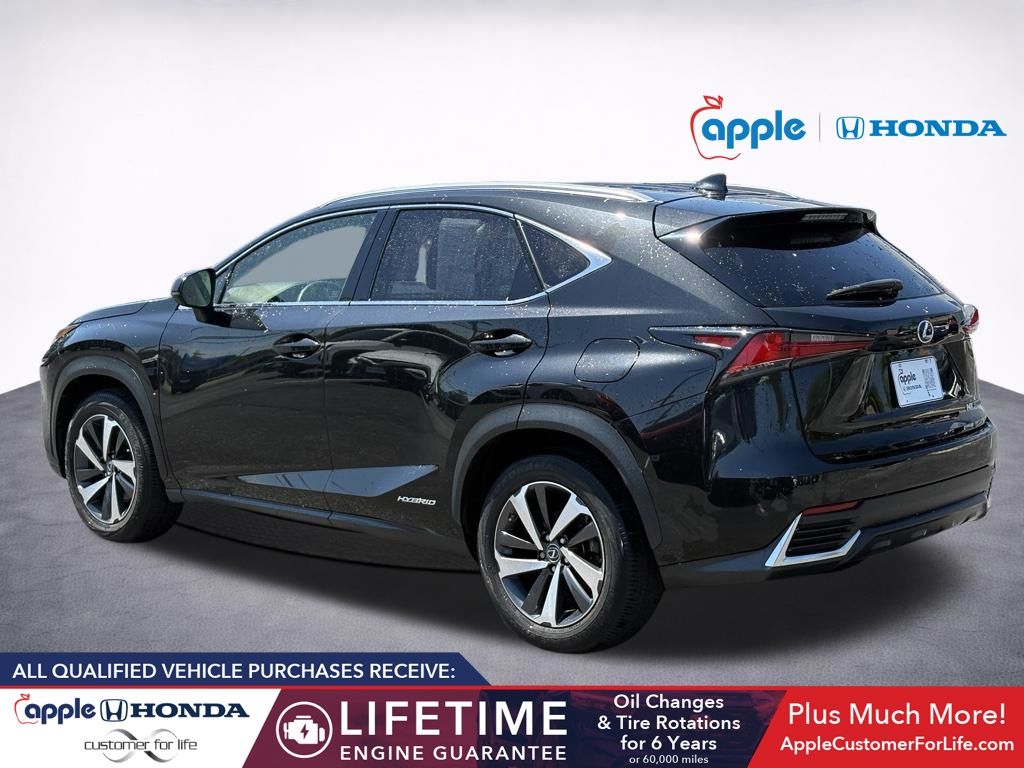 2019 Lexus NX 300h 