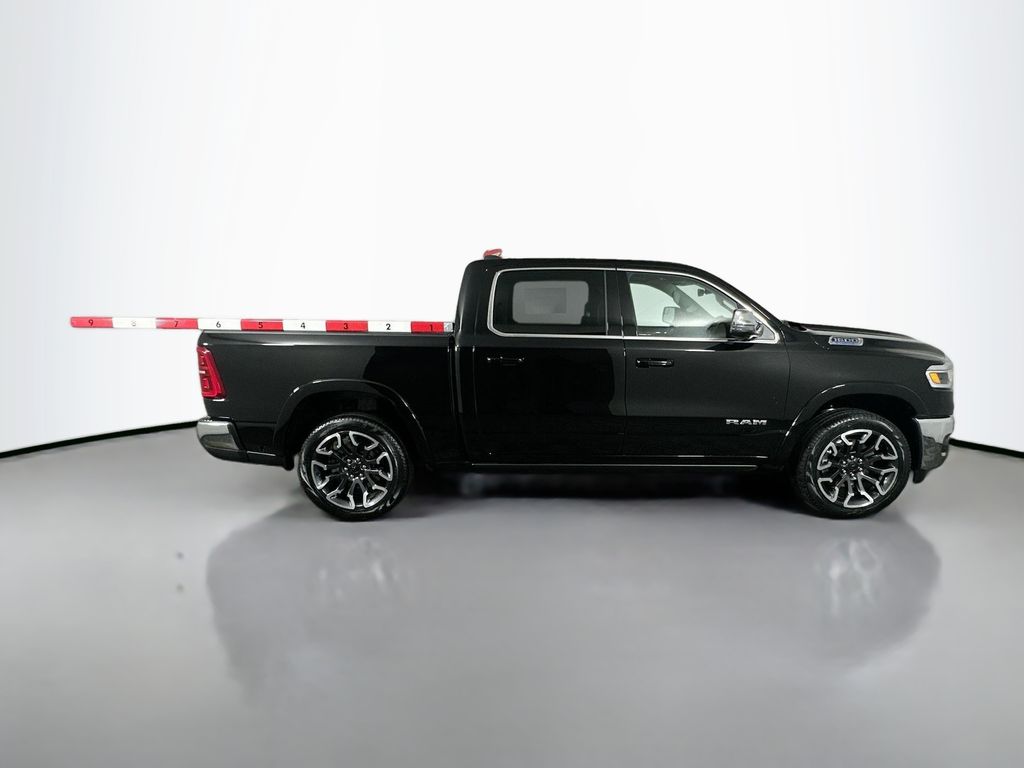 New 2026 Black Ram Longhorn 12in image 8