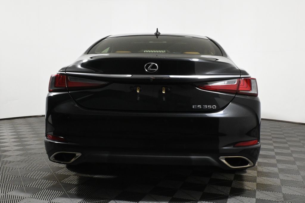 2019 Lexus ES 350 Luxury 6