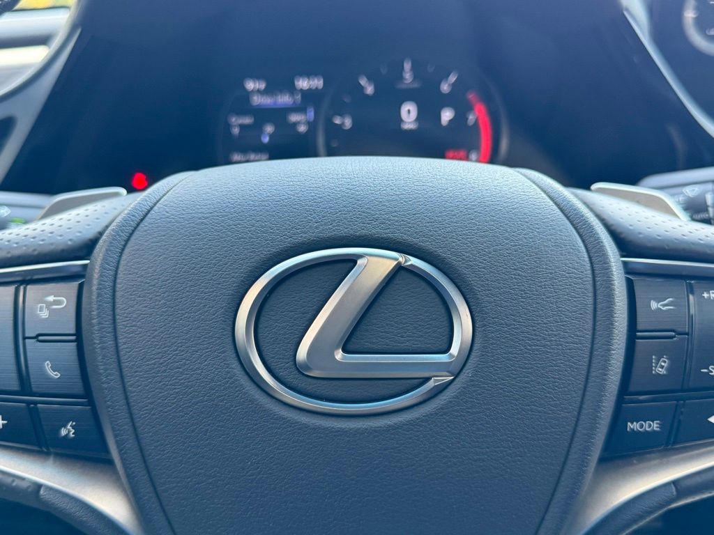 2022 Lexus ES 350 F Sport 29