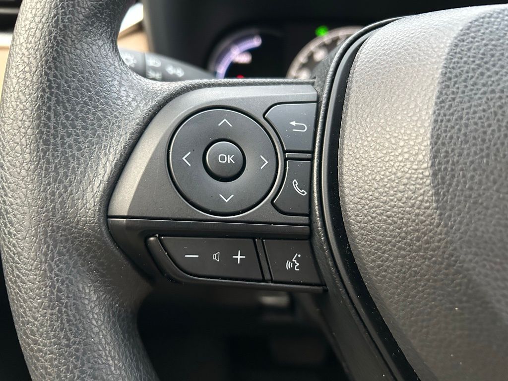 Thumbnail: 2025 Toyota RAV4 - 19