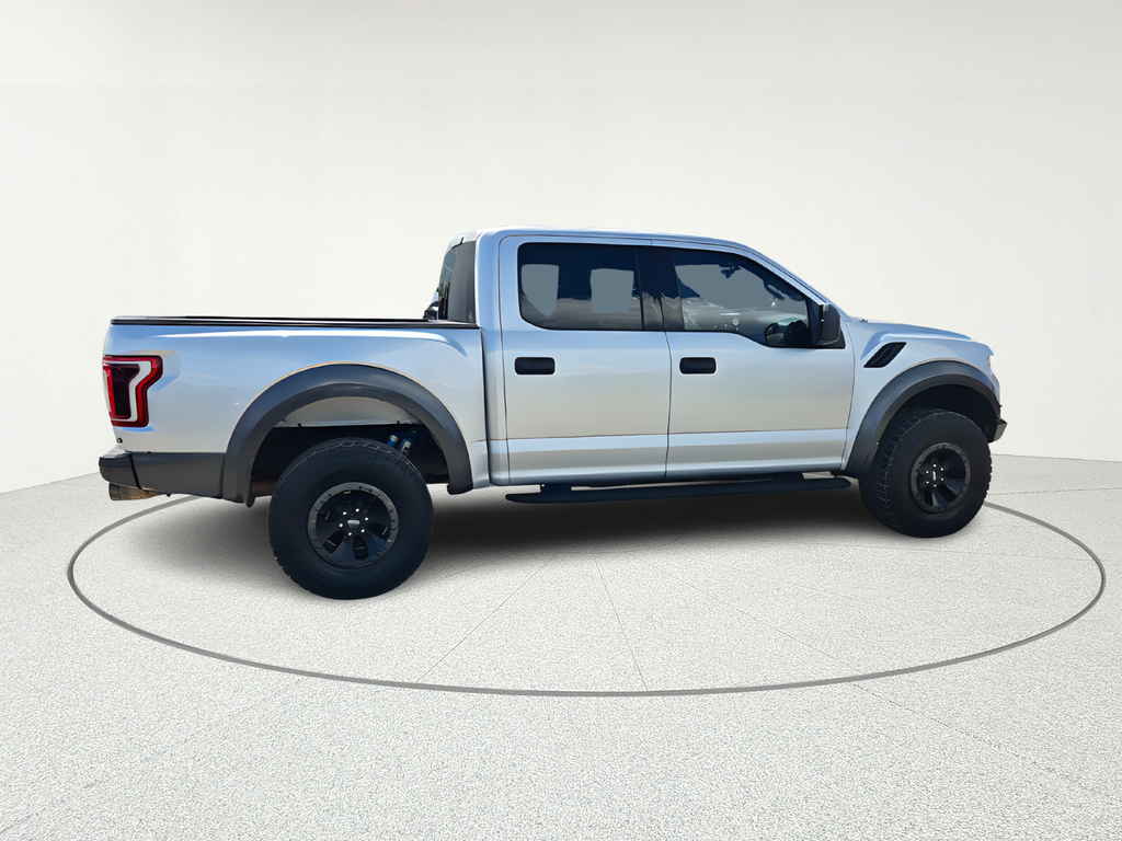 2018 Ford F-150 Raptor - 6