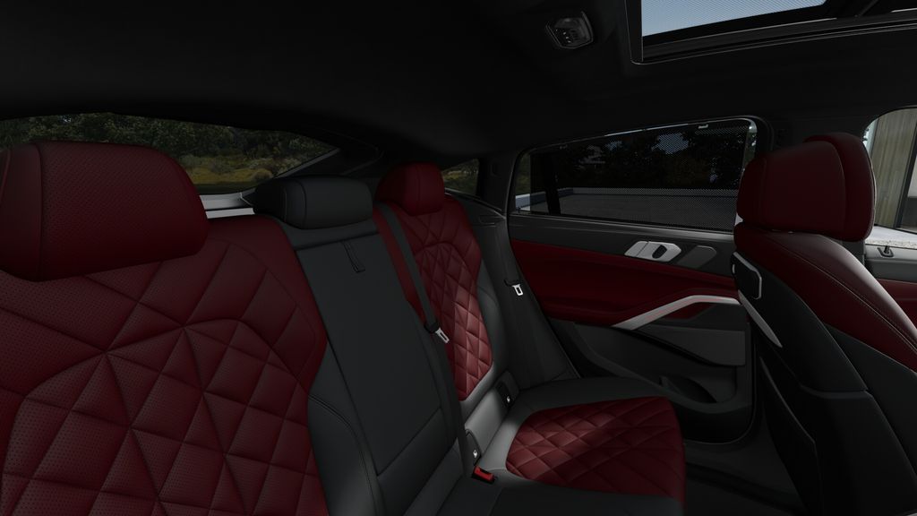 Thumbnail: 2027 BMW X6 - 12