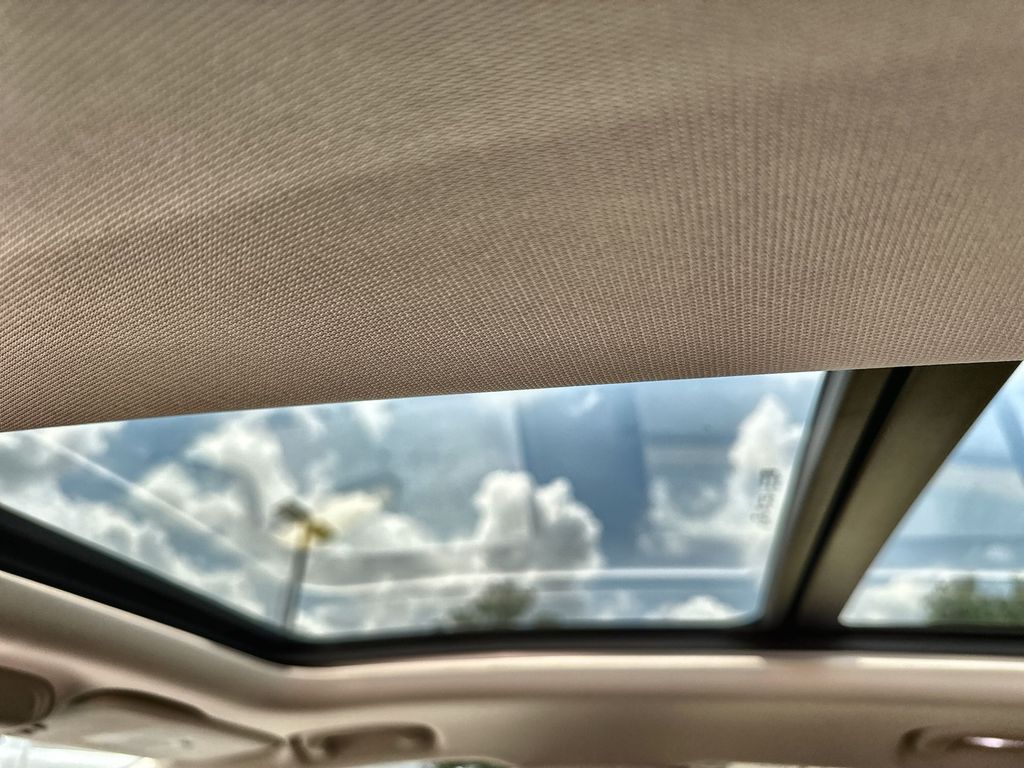 View 19