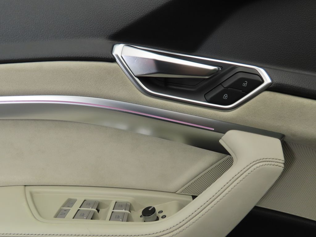2019 Audi e-tron Prestige 26